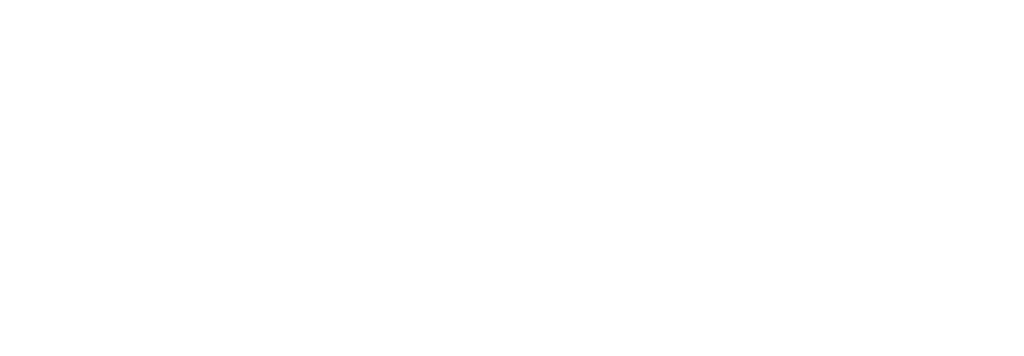 Capital One logo